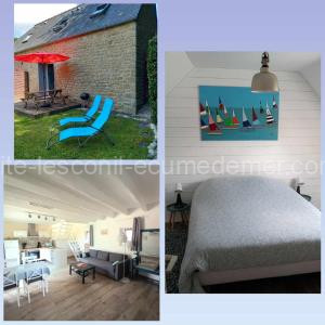 La Demoiselle du Finistère à Plobannalec-Lesconil